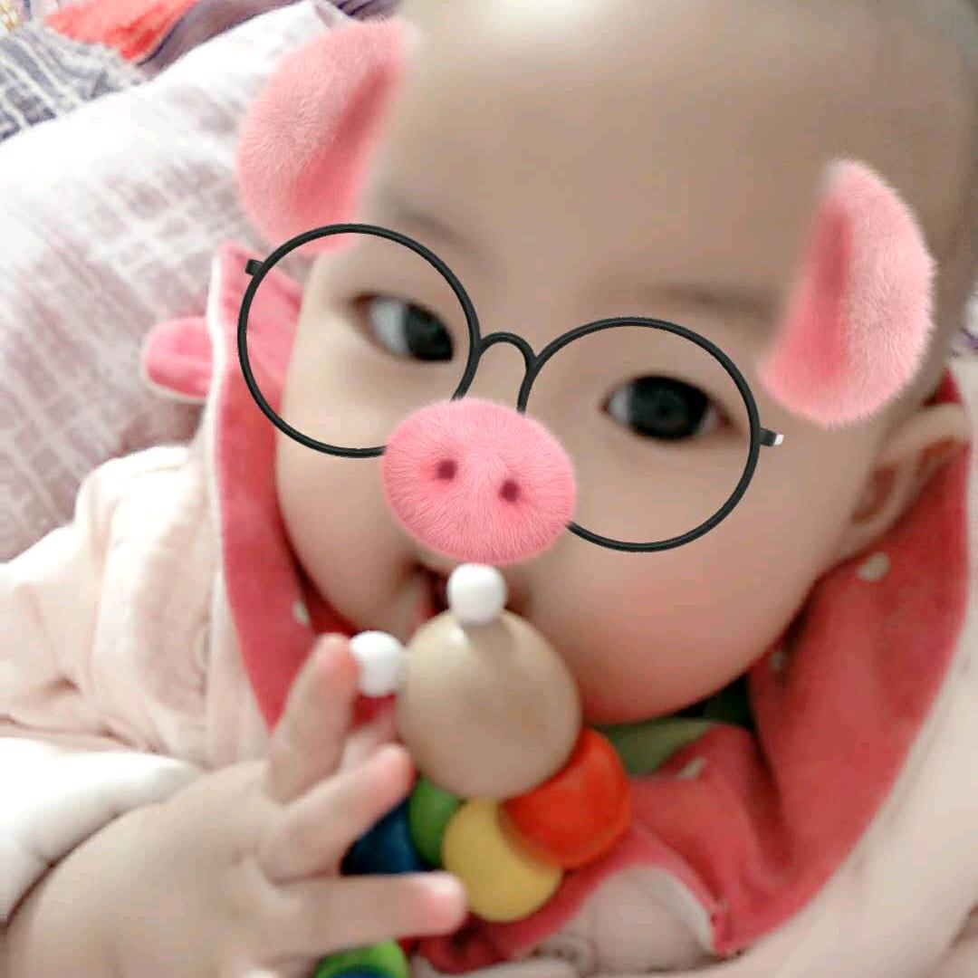 小龙猫老汉