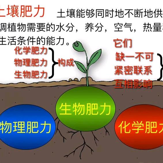 光碳农业科技