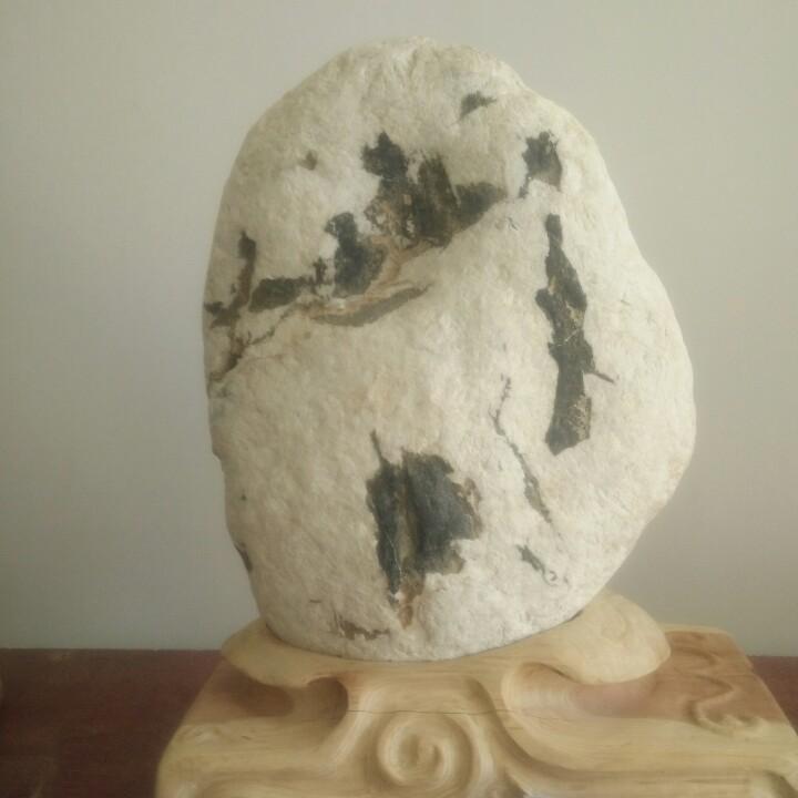 山人。
