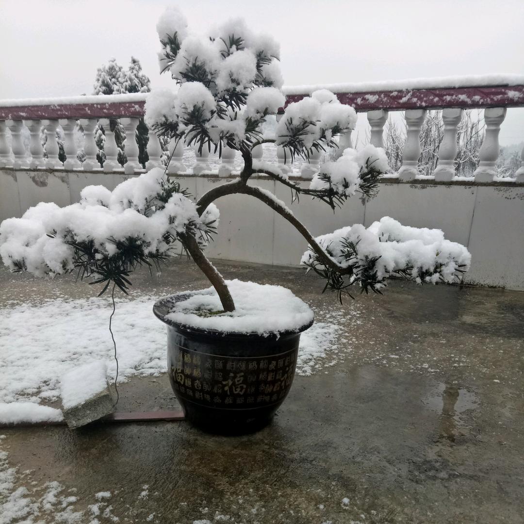 盼望快乐。