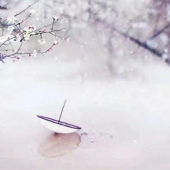 🔱独狼张韩👑世界首富亿万富翁士富豪富