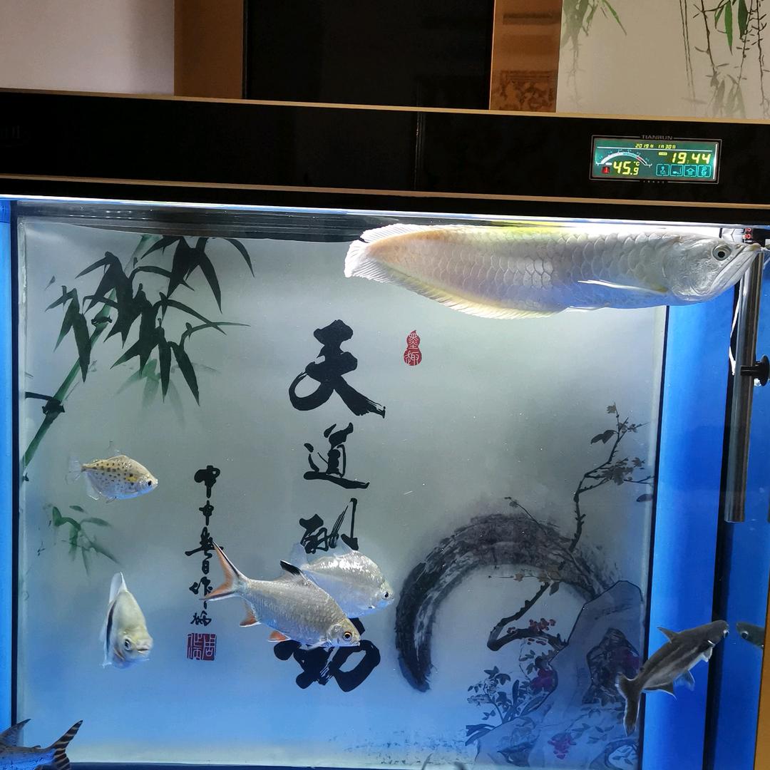 寒江雪
