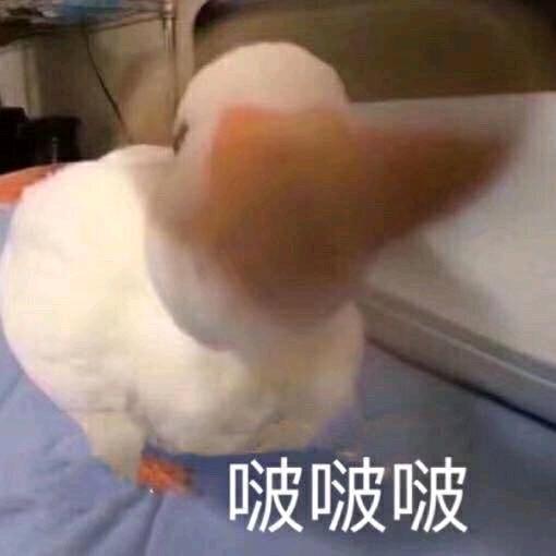 三疯
