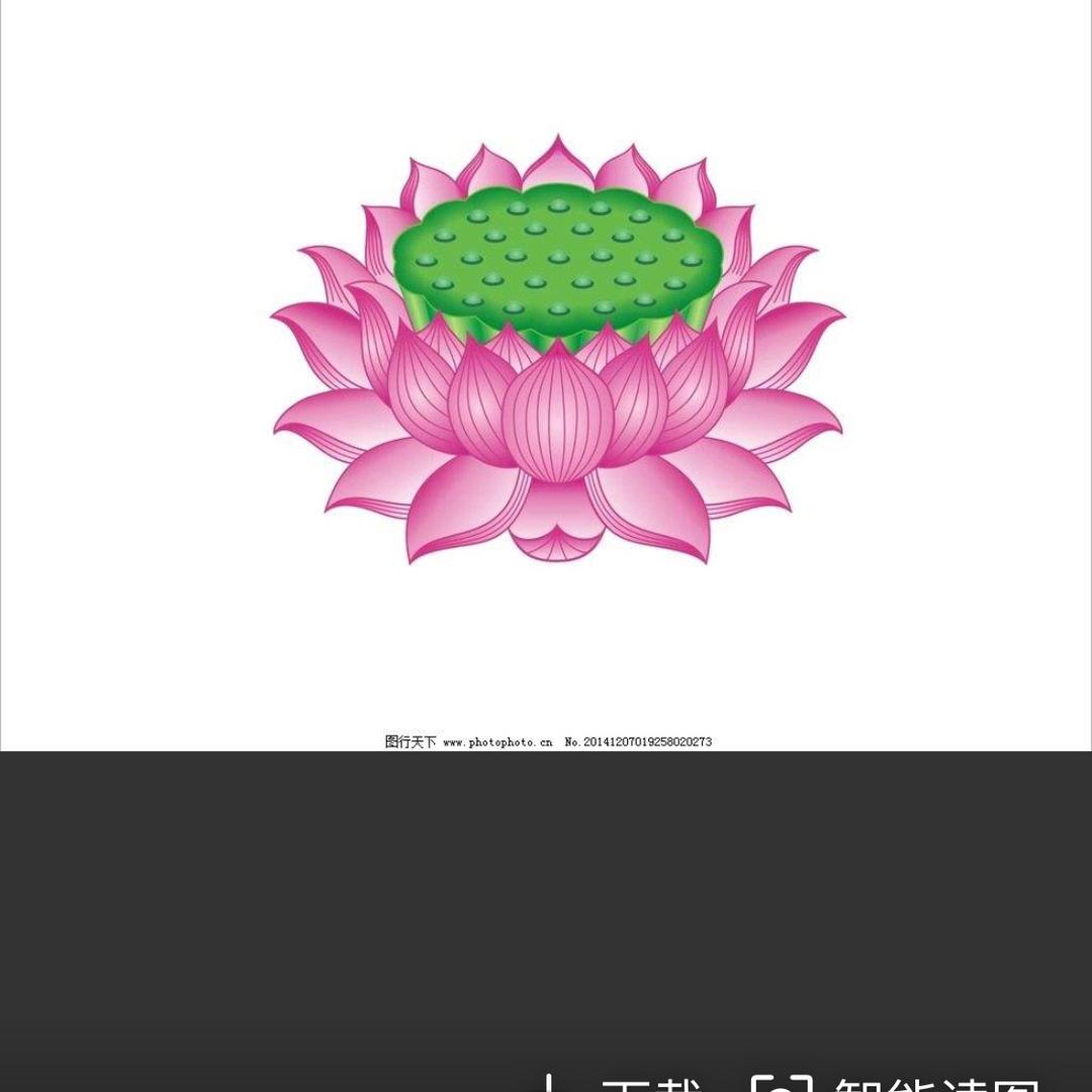 老帅哥