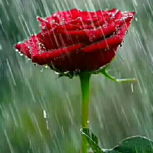 余生多爱点自己