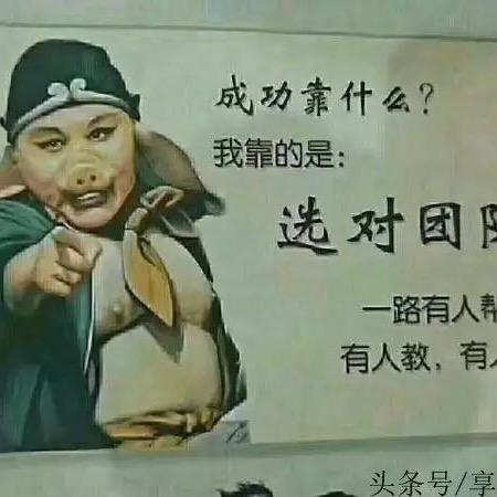 王飞飞