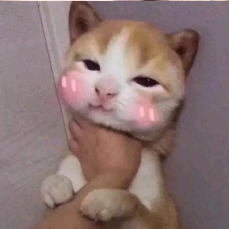 点点