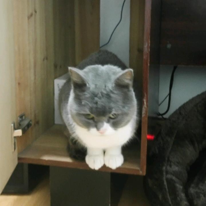 ke的大哥