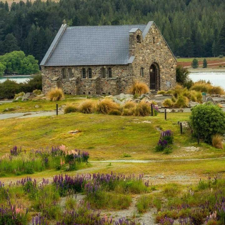 花儿为什么这样红