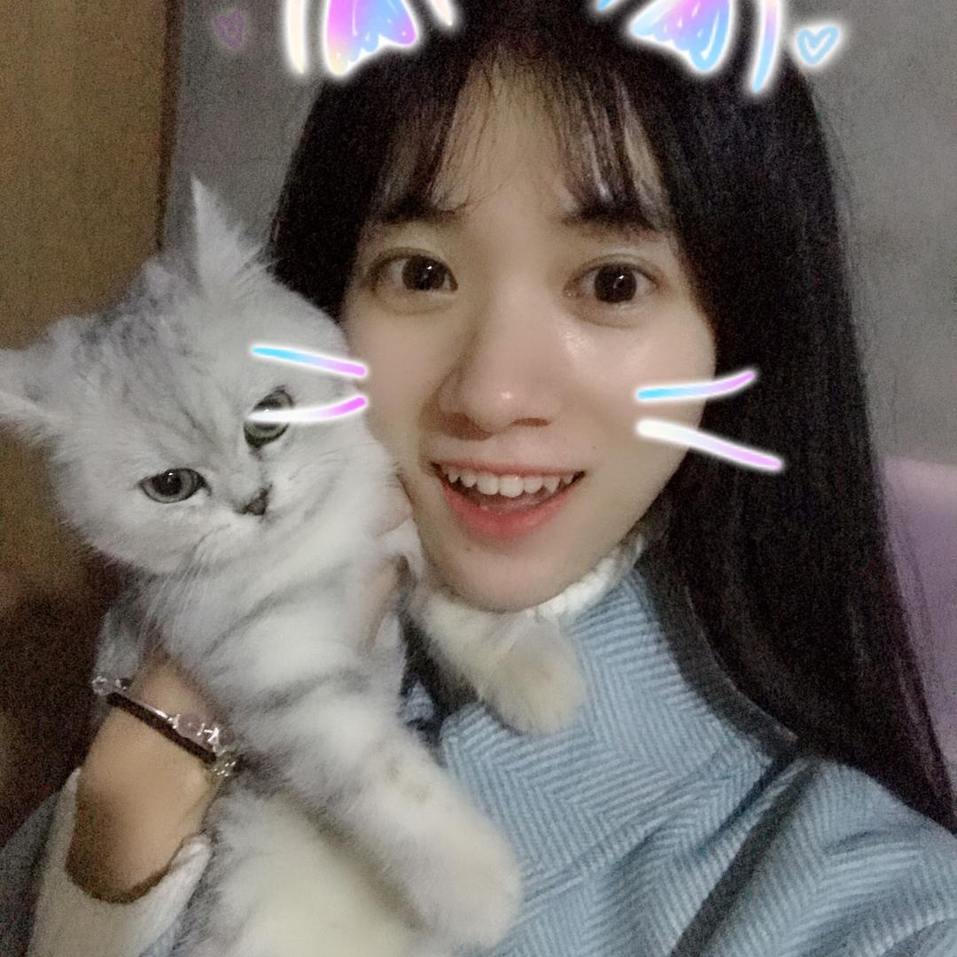 小一顾新风
