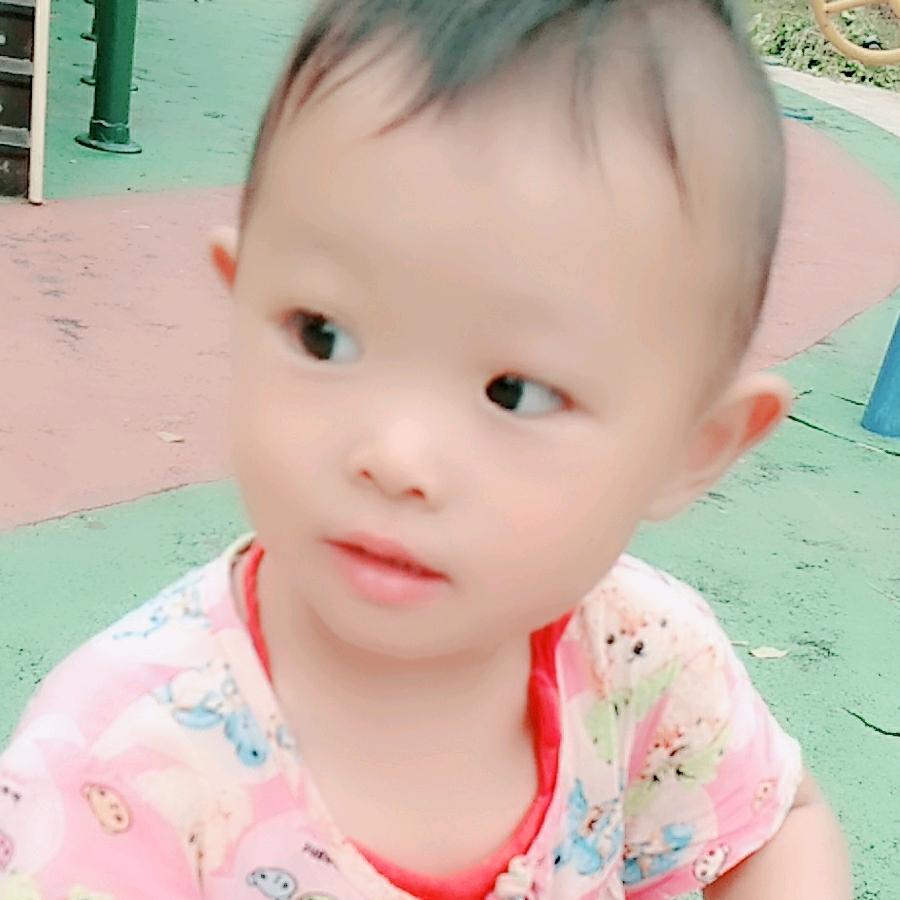 玉兰花开，美景常在