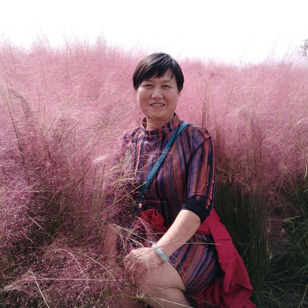 勉县美声电器周会彦