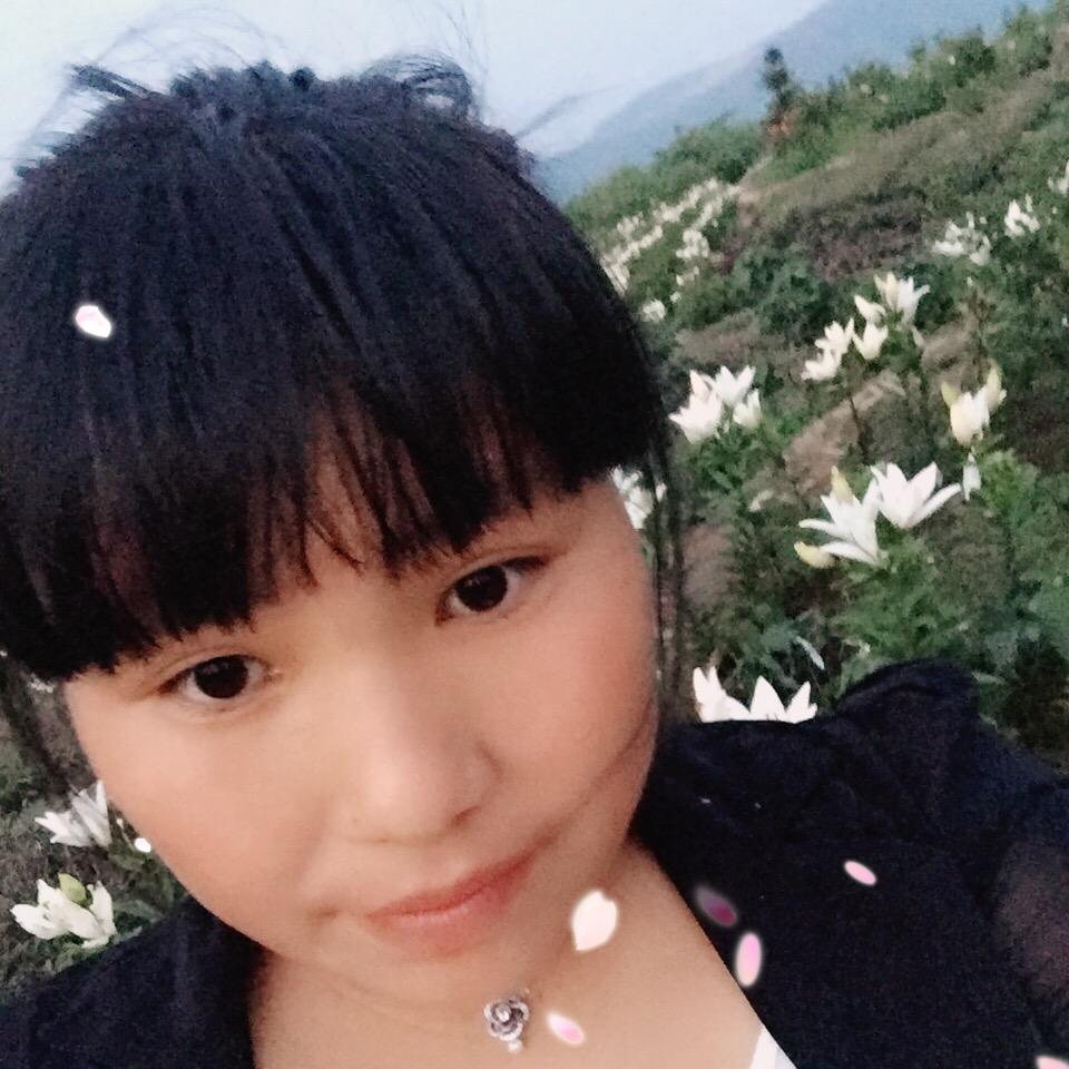 骄傲的孔雀
