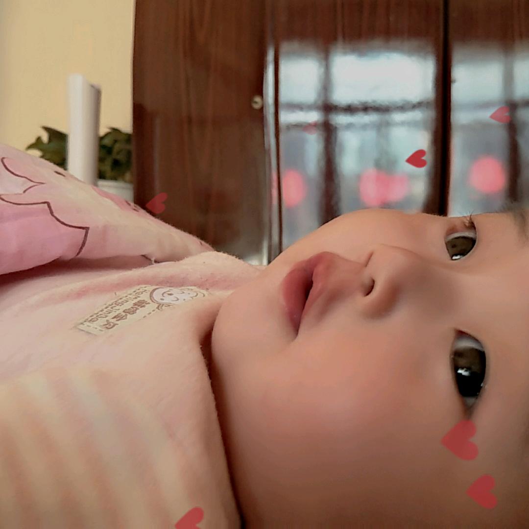 玫瑰