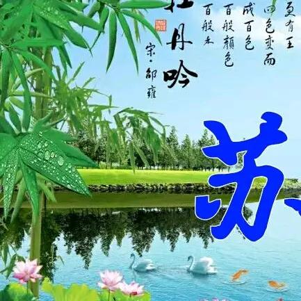 雅苏共赏