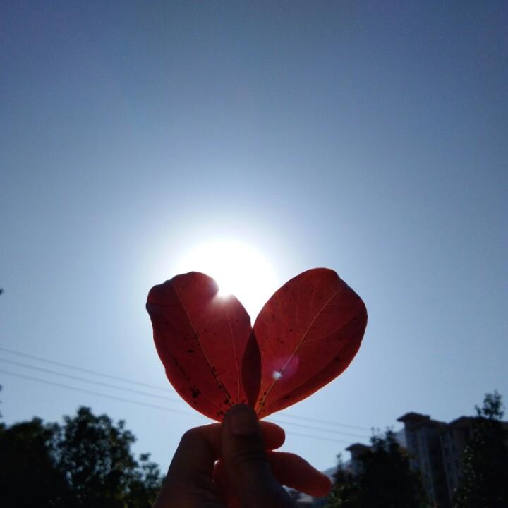 橙子甜