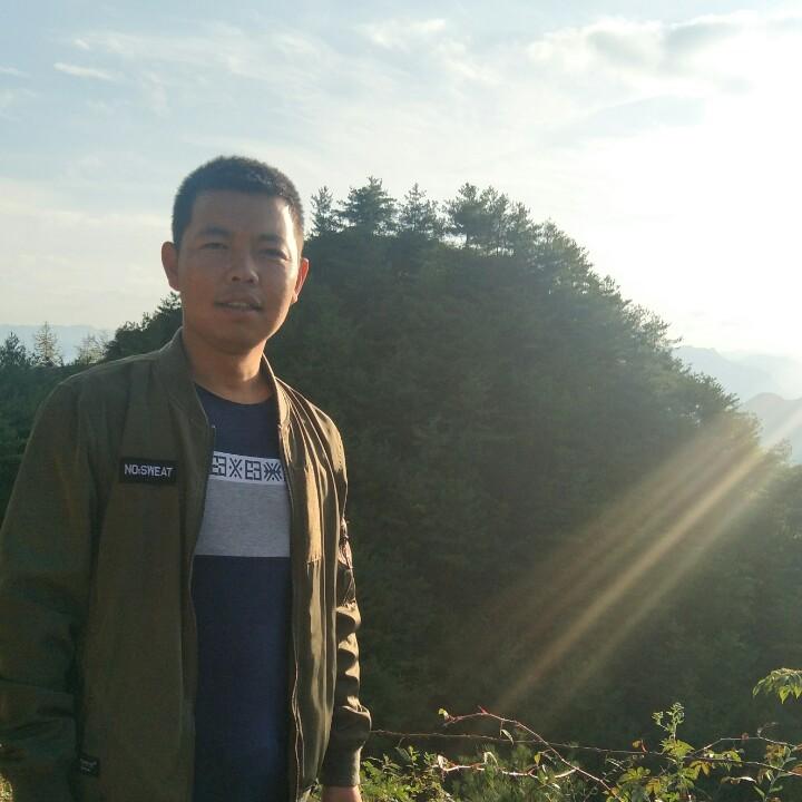 蒙L一路绿灯
