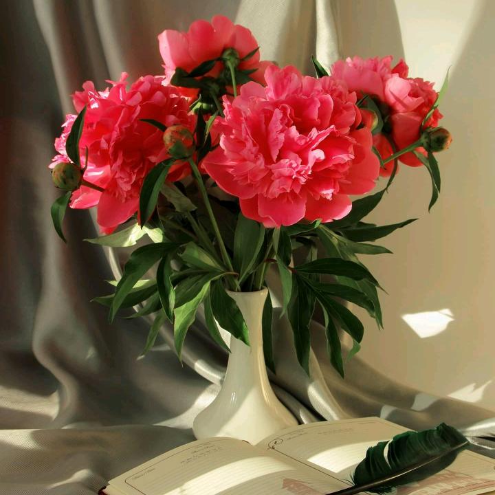 祖国—明天会更好