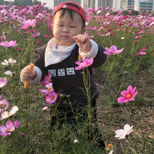 花朵花忆