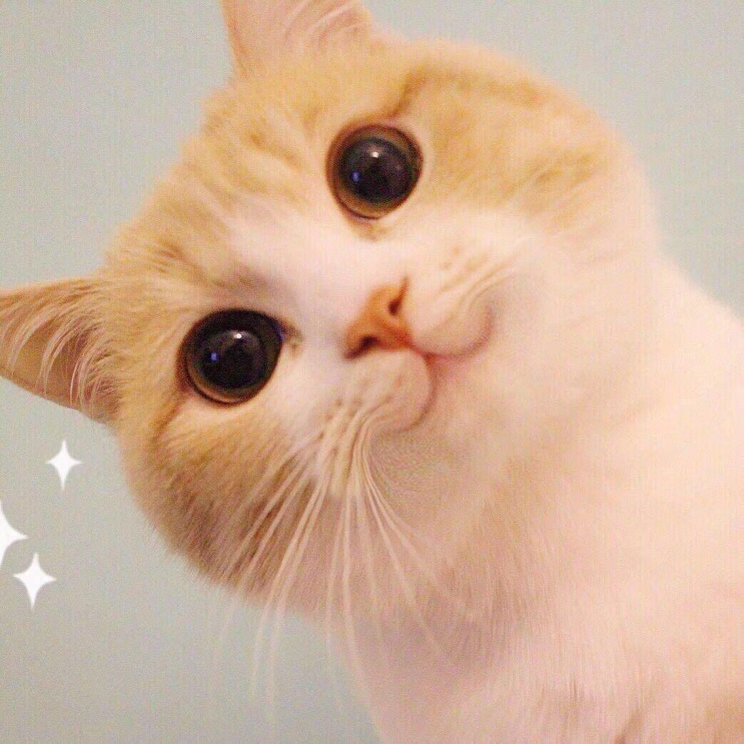 尹夕