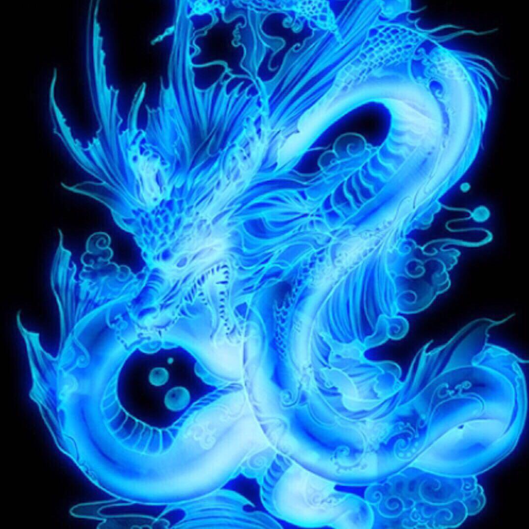 永不消逝的电波#