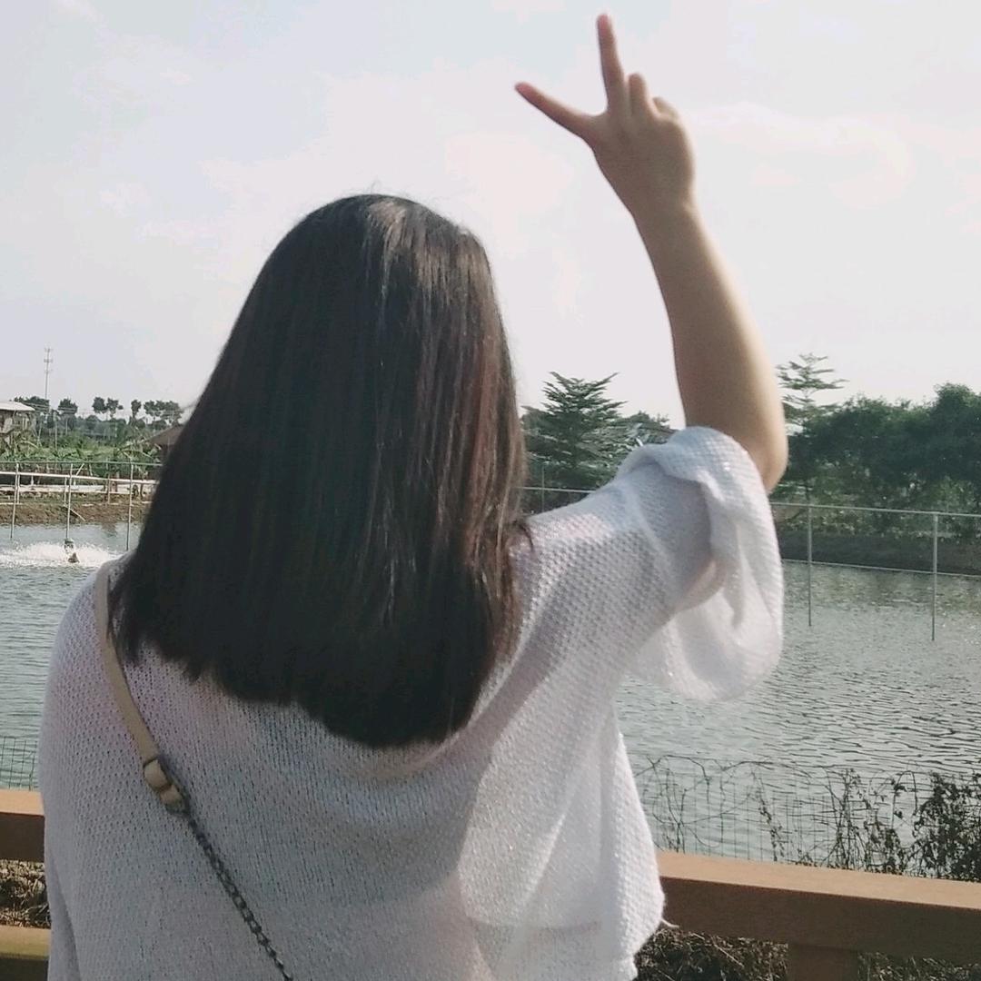 不想蒋道理