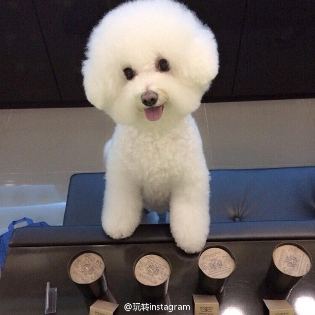 手机用户65665044446