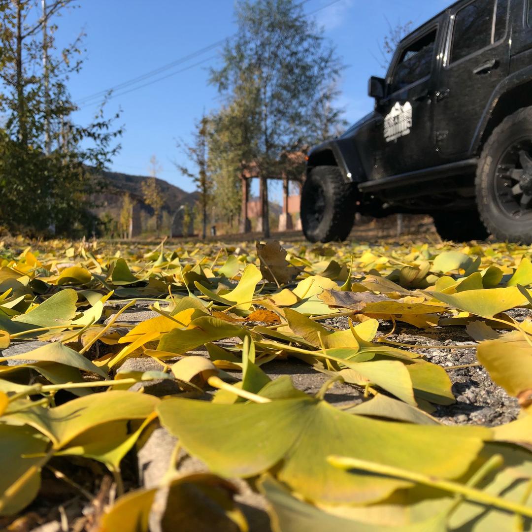 户外～小虫