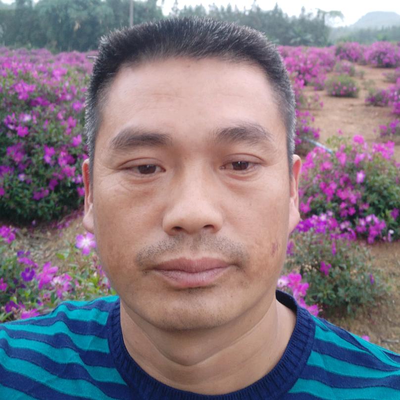 刘东17369355551