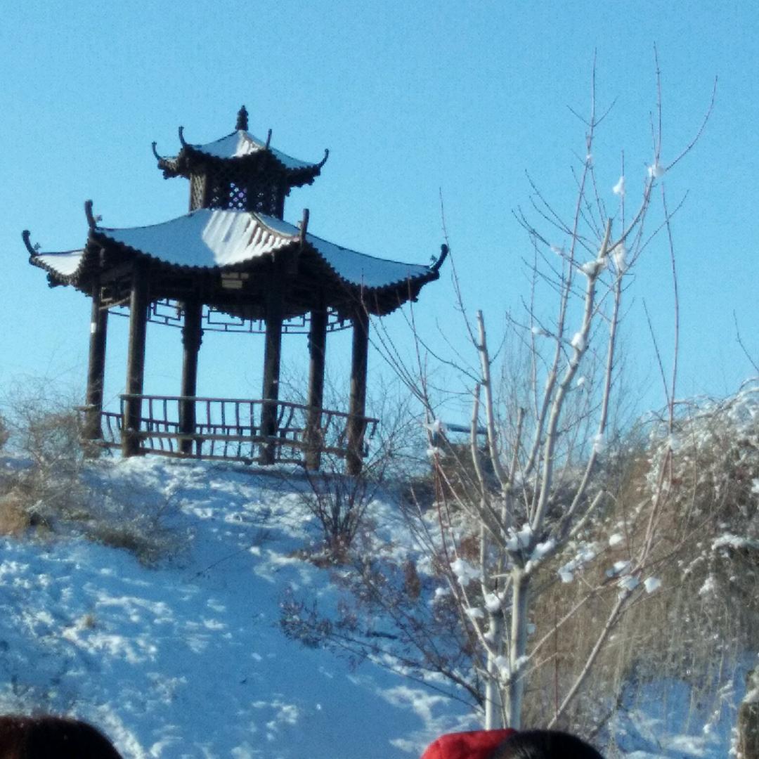 沙漠神鹰