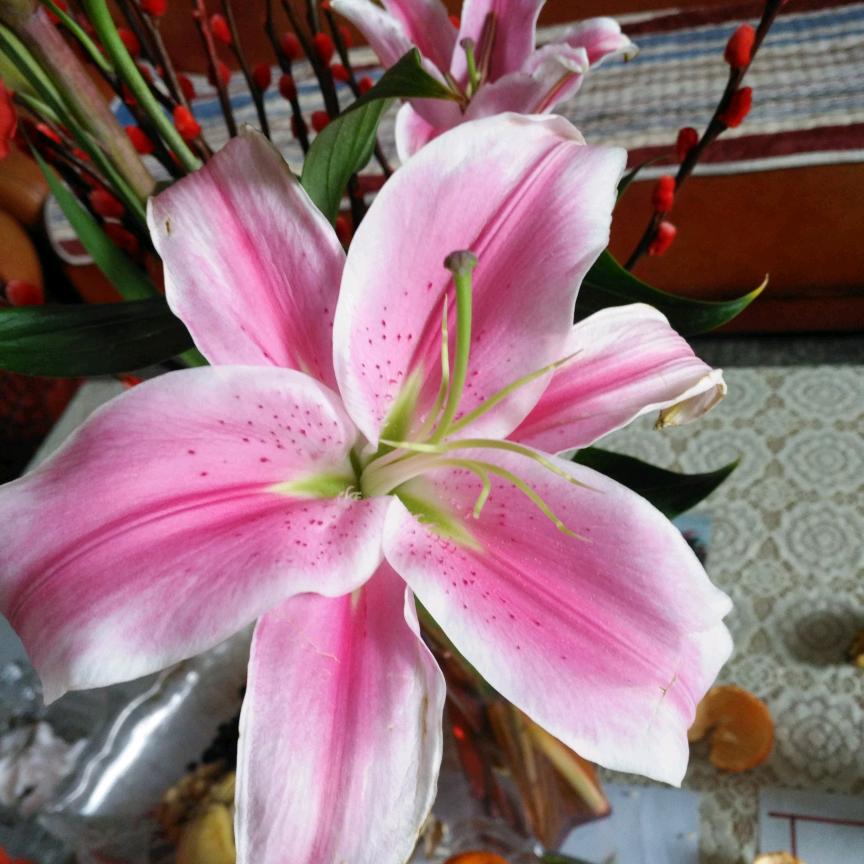 程默是金