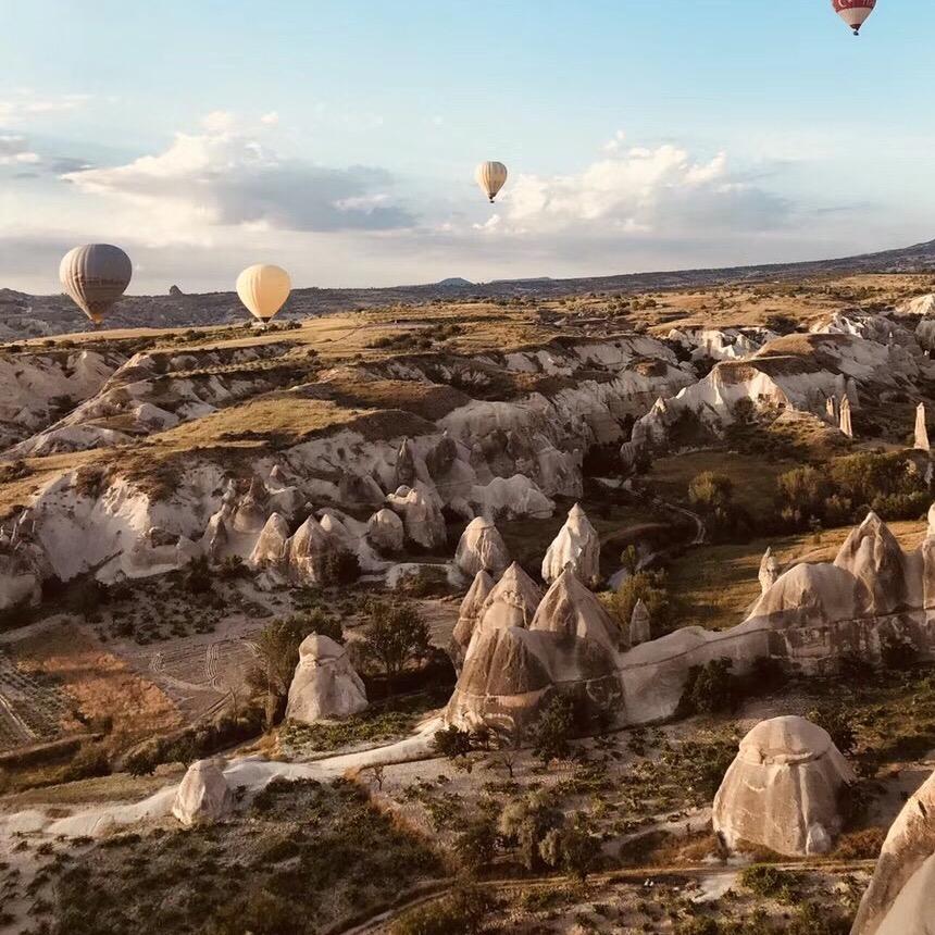 阿飞的小蝴蝶丶