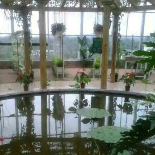 时光演绎半生缘