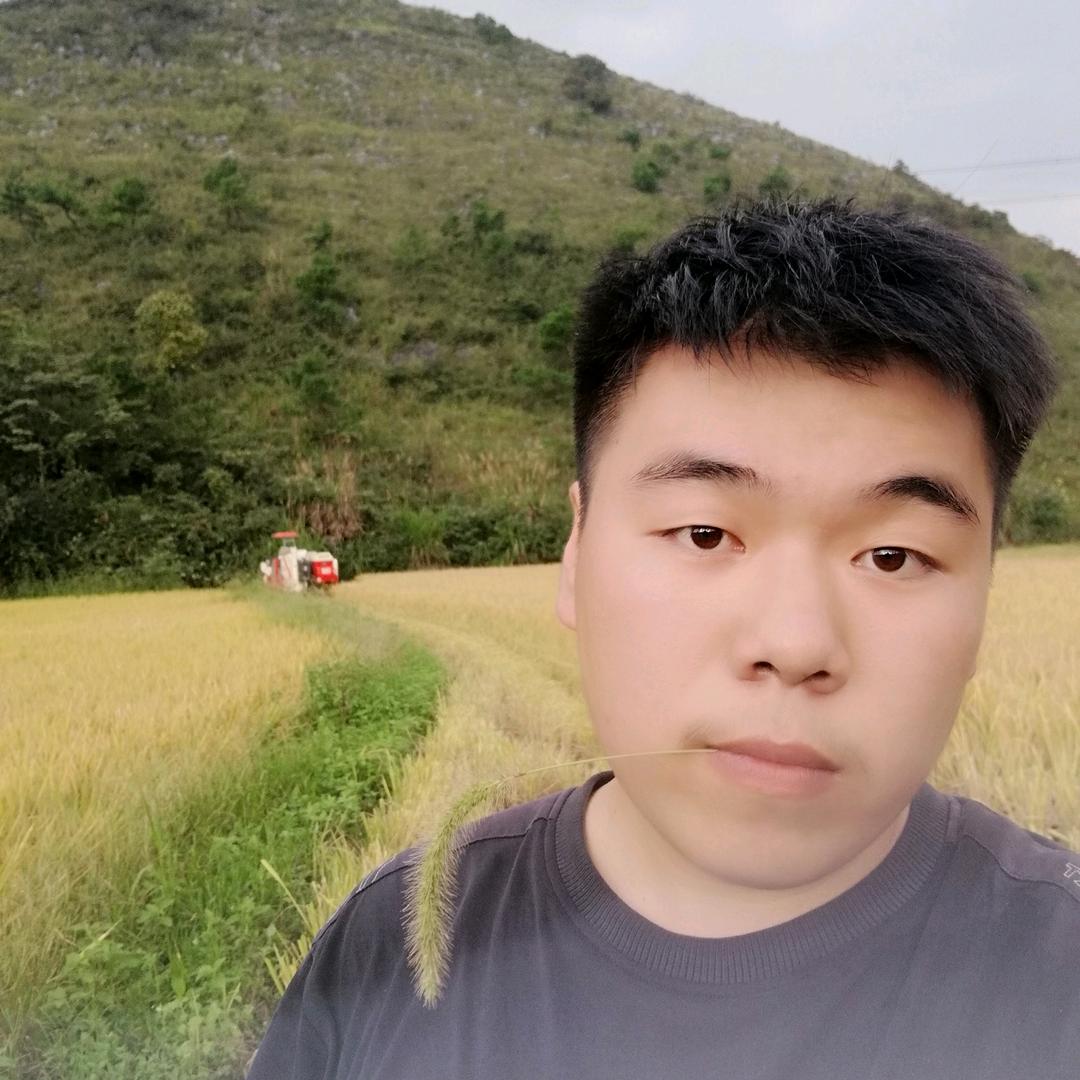 枫之梦舞