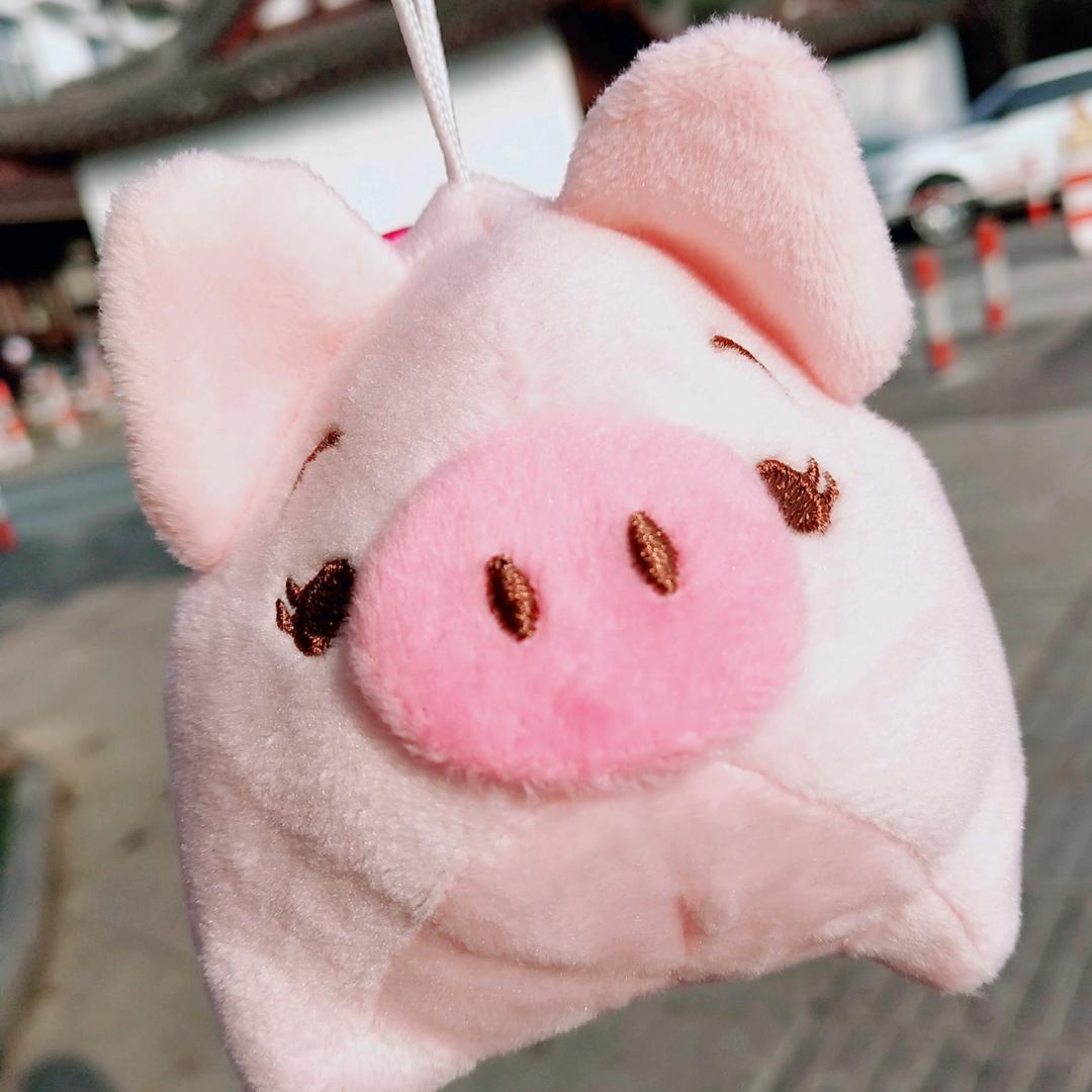 🌈真对不起胖到你了