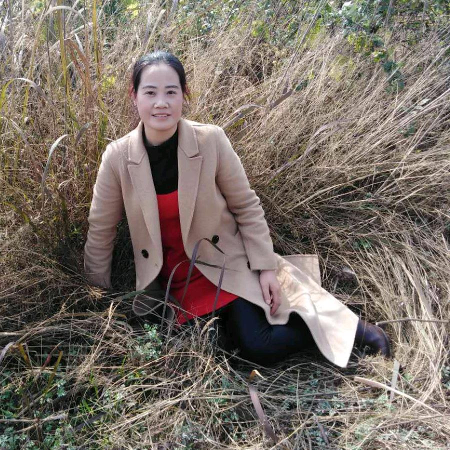 菊