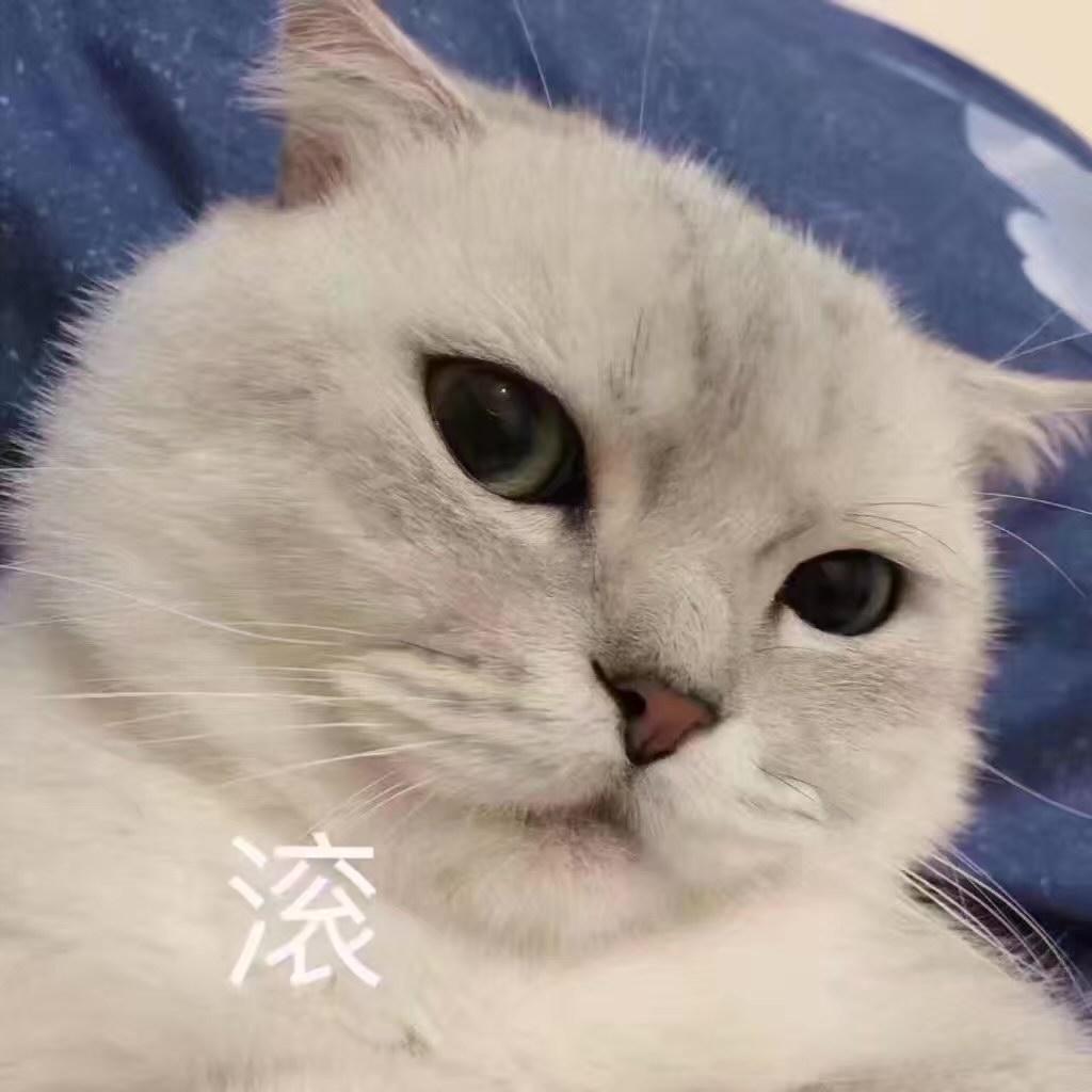 知世