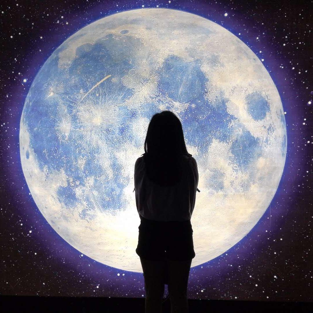 淑慧