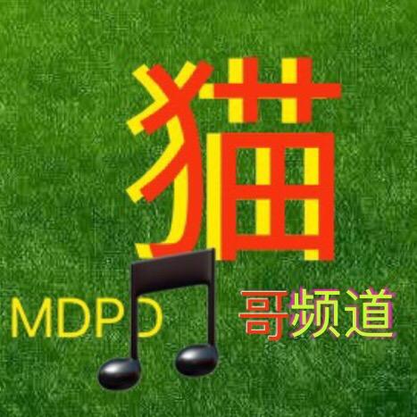 追光煮茶²⁰²⁵