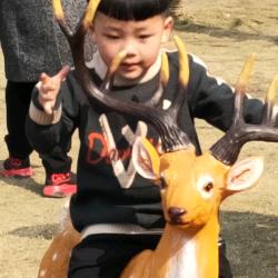 she思