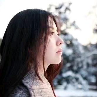 紫色玫瑰