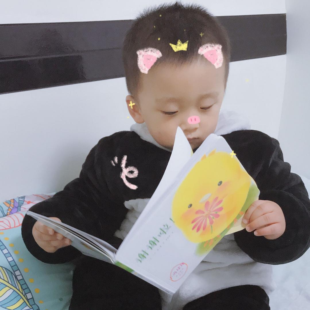 清渊🕊️