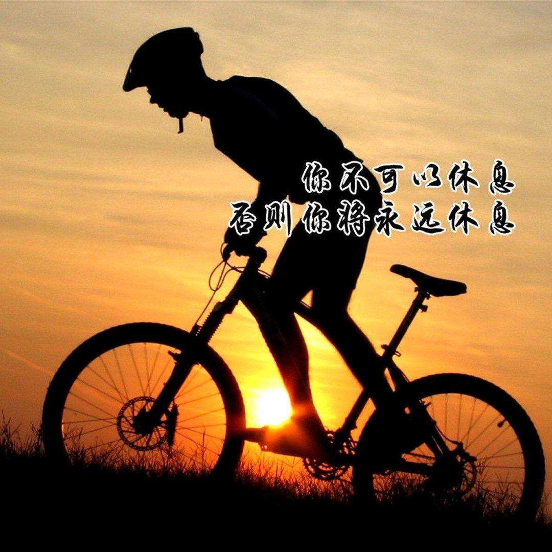 亮哥
