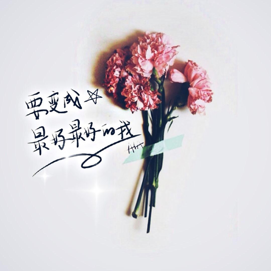 卖茶叶的小姐姐