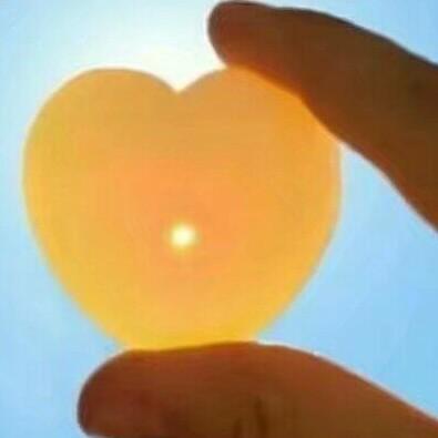 暖暖的爱
