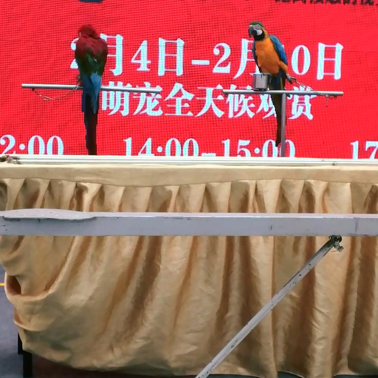 飞云