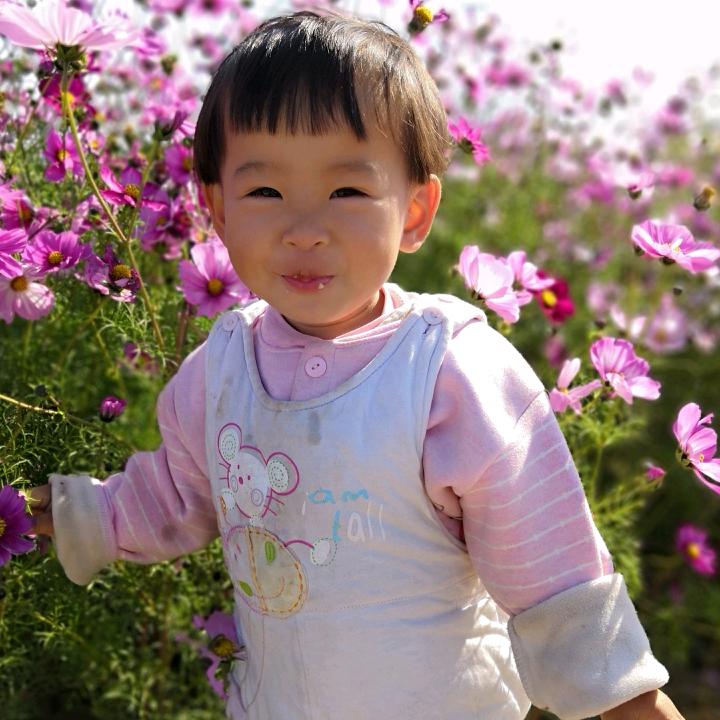 柯馨
