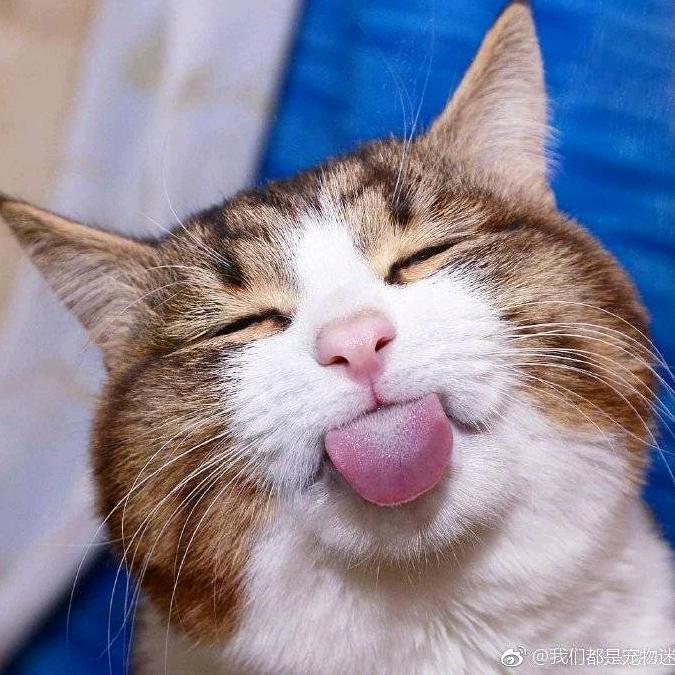 Nyanta