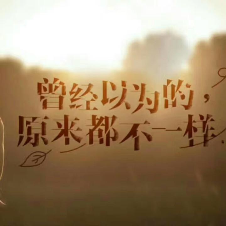 清风浅阳
