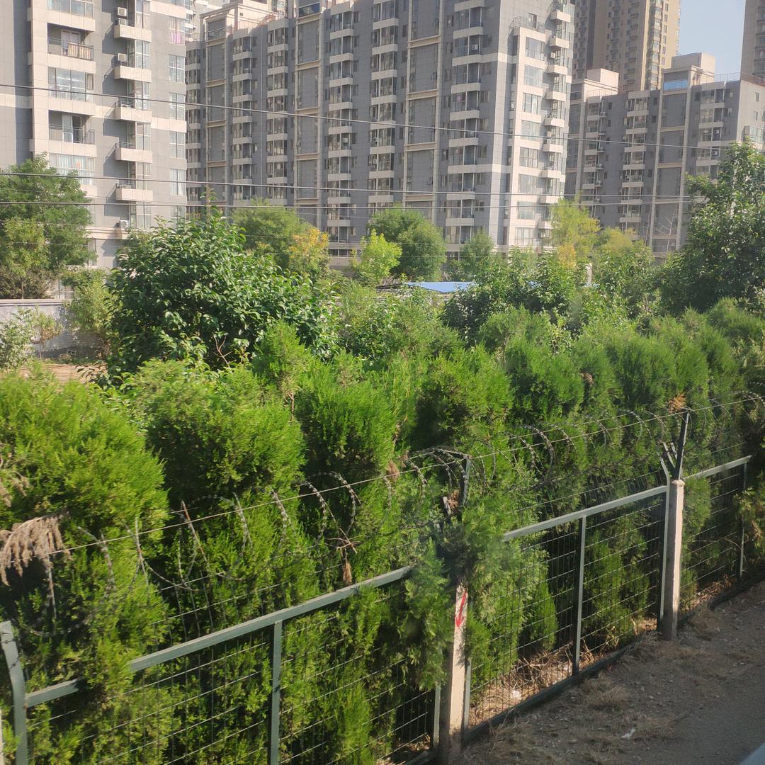 你就